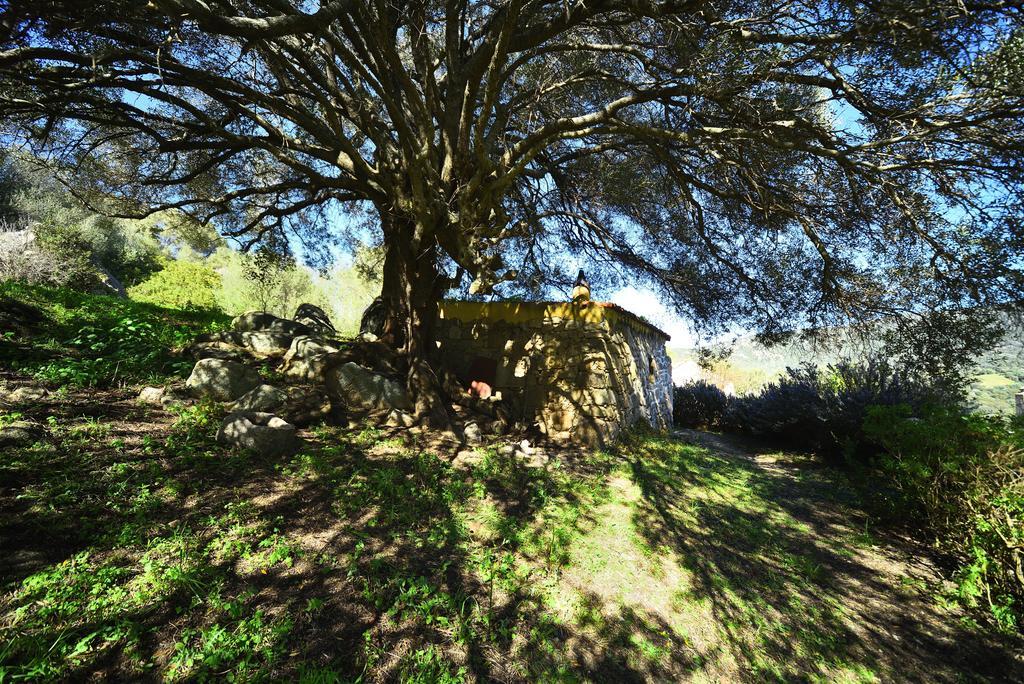 Lu Rotu Villa Sant'Antonio di Gallura Exterior foto