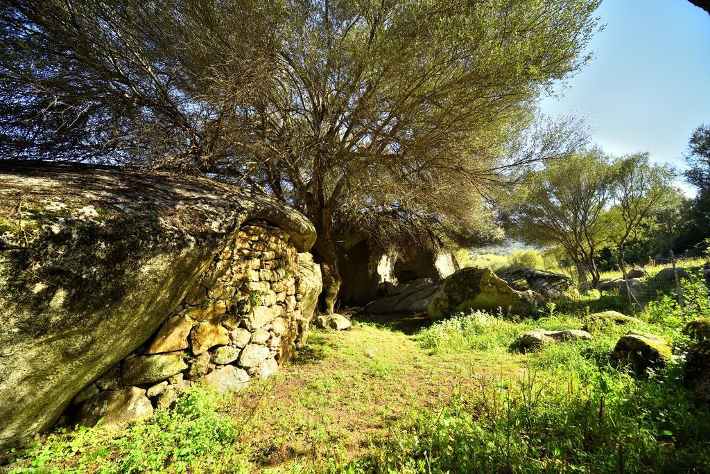 Lu Rotu Villa Sant'Antonio di Gallura Exterior foto